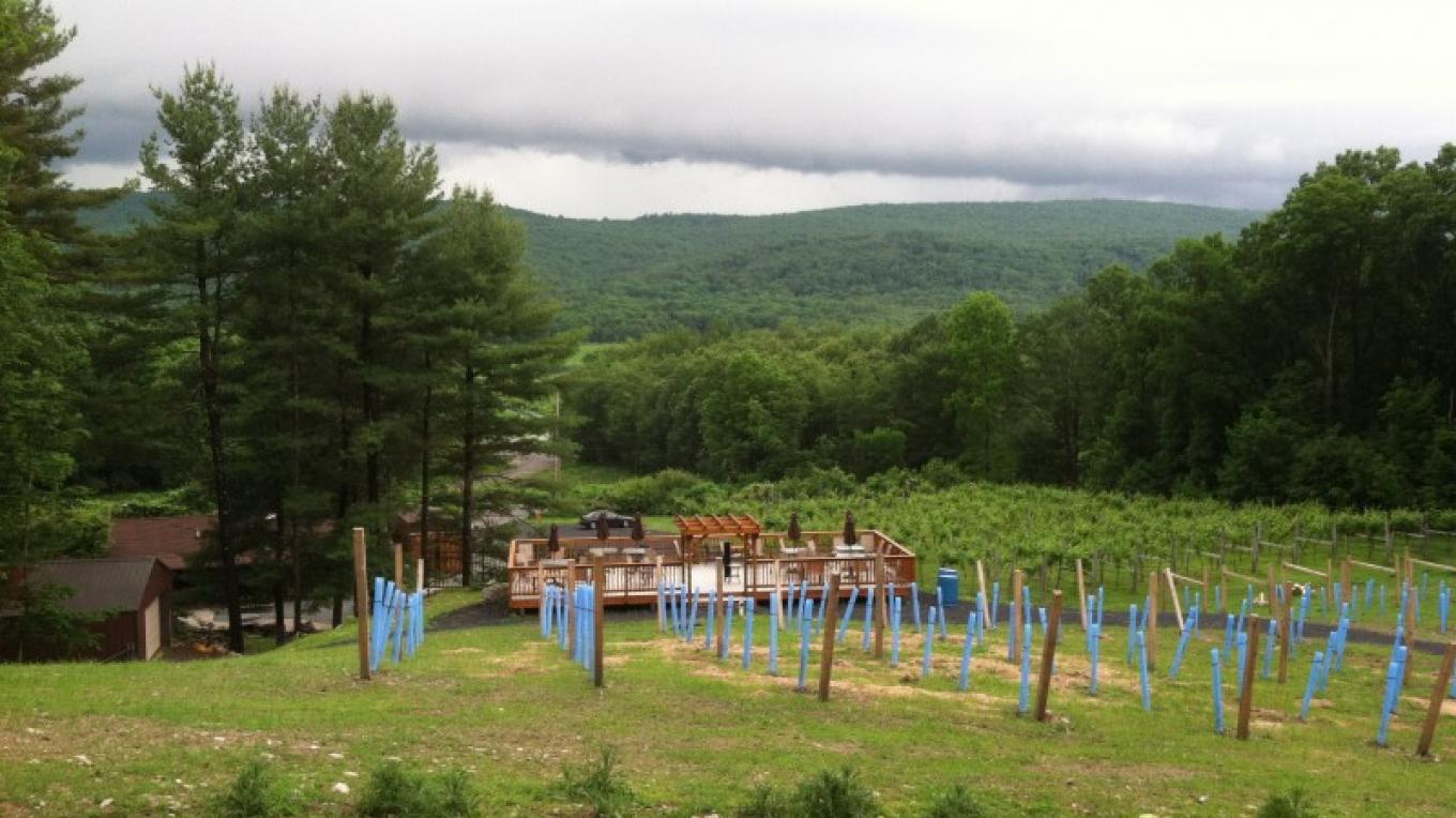 Bashakill Vineyards & Winery