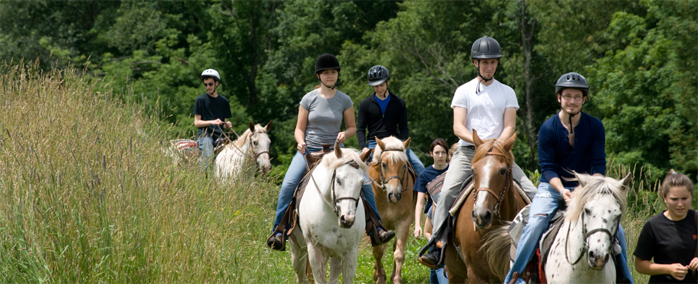 Bridle Hill Farm