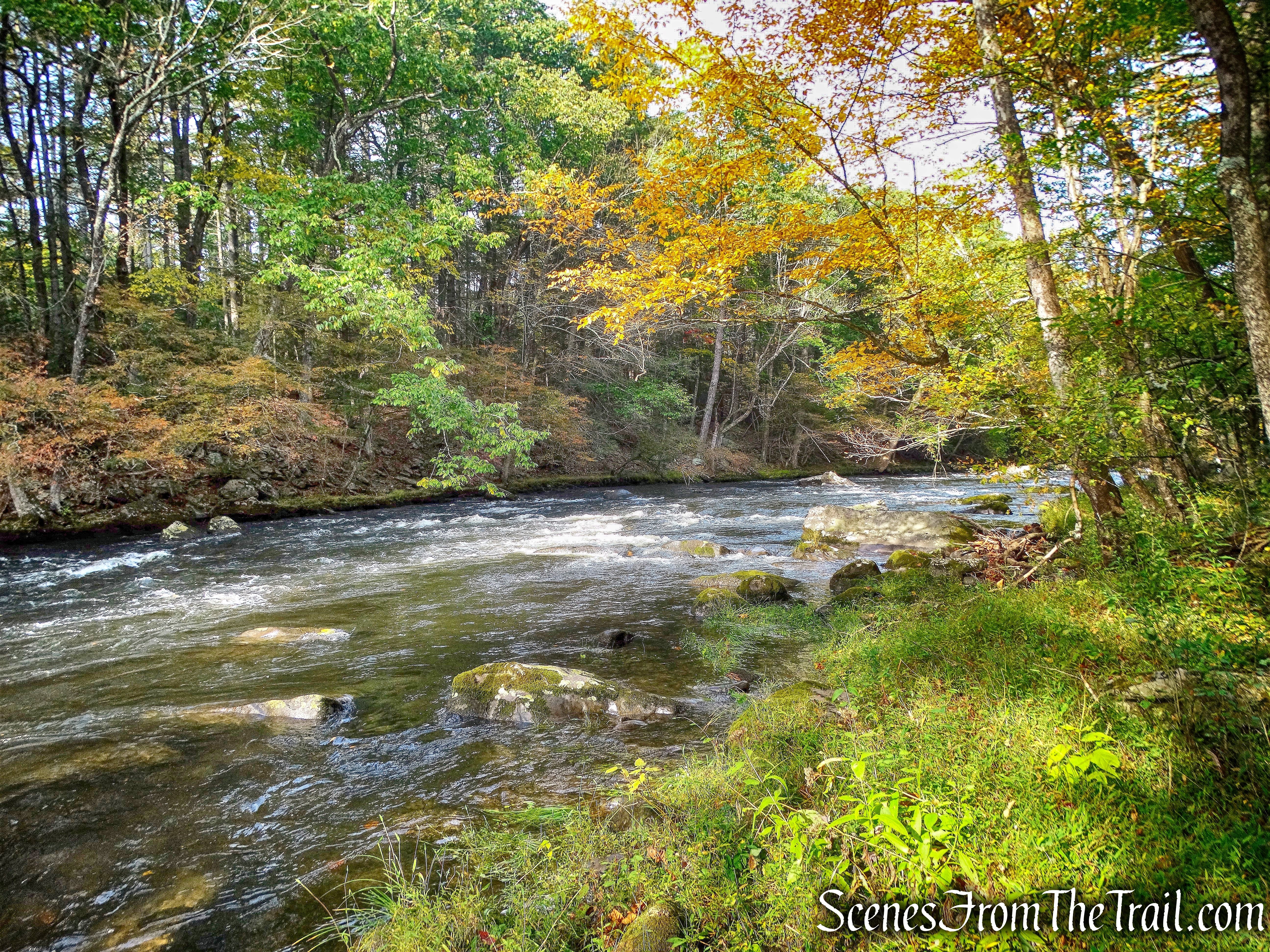 Mongaup River Trail