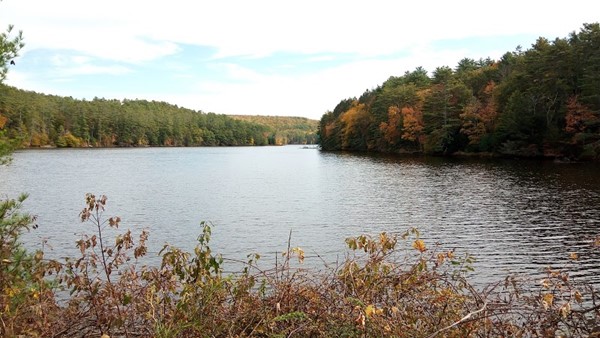 Mongaup Falls Reservoir