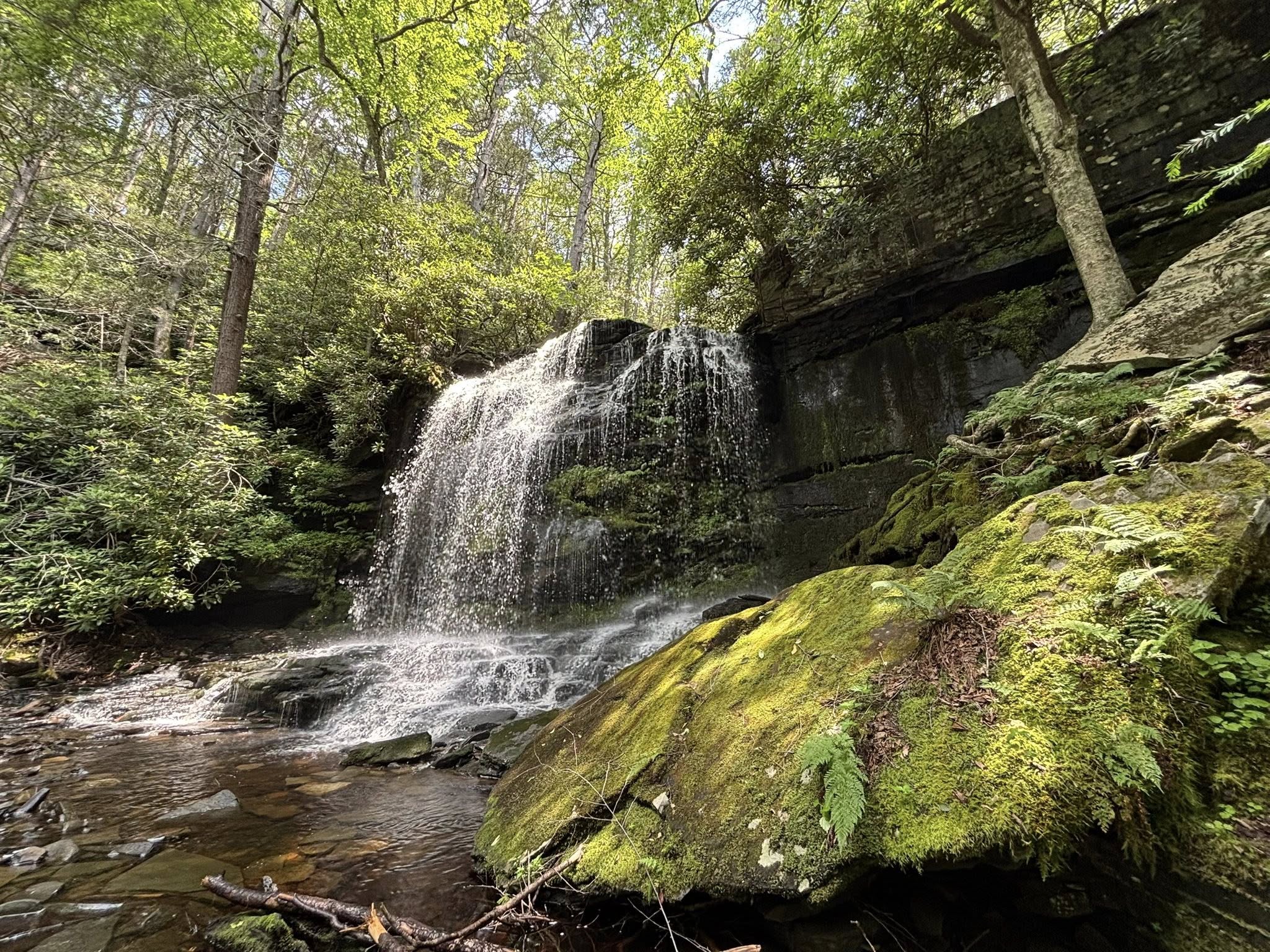 Neversink Gorge